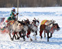 A reindeer-herding community on the Kanin Peninsula