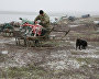 A reindeer-herding community on the Kanin Peninsula