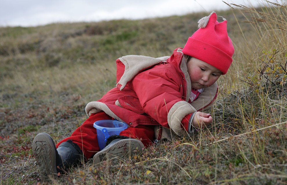 A reindeer-herding community on the Kanin Peninsula