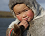 A reindeer-herding community on the Kanin Peninsula