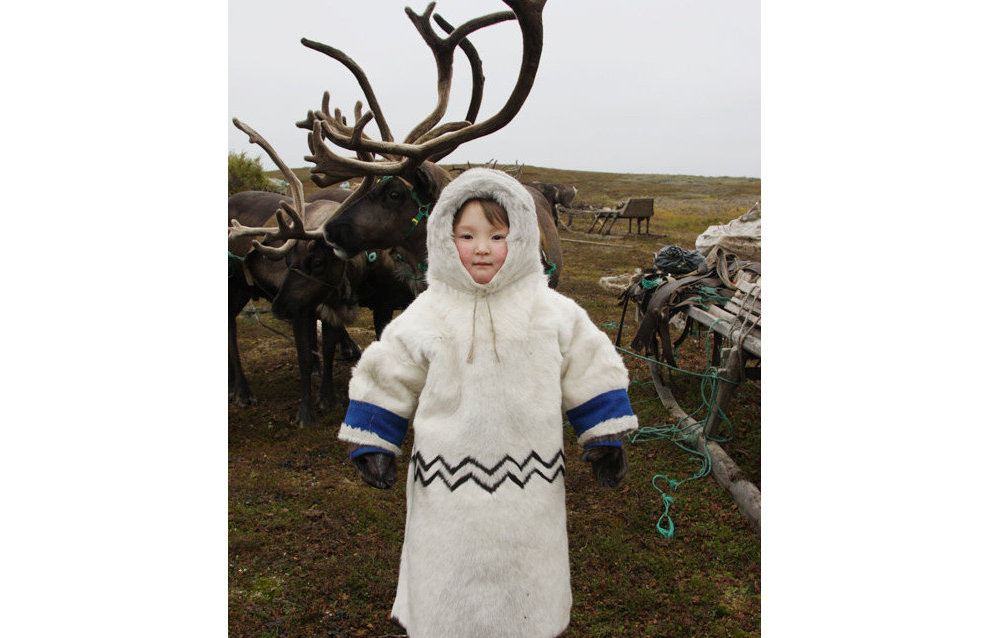 A reindeer-herding community on the Kanin Peninsula