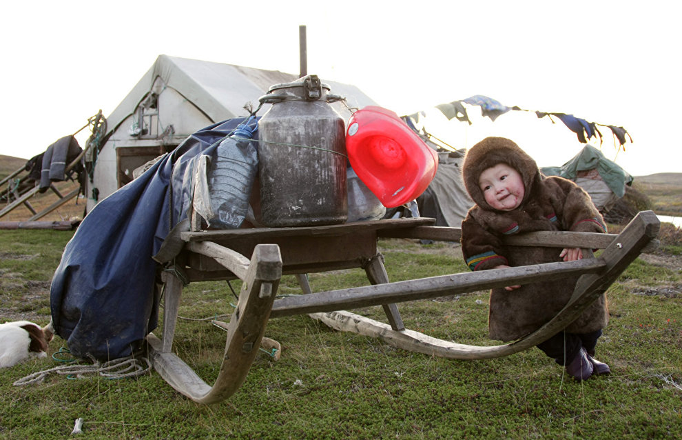 A reindeer-herding community on the Kanin Peninsula