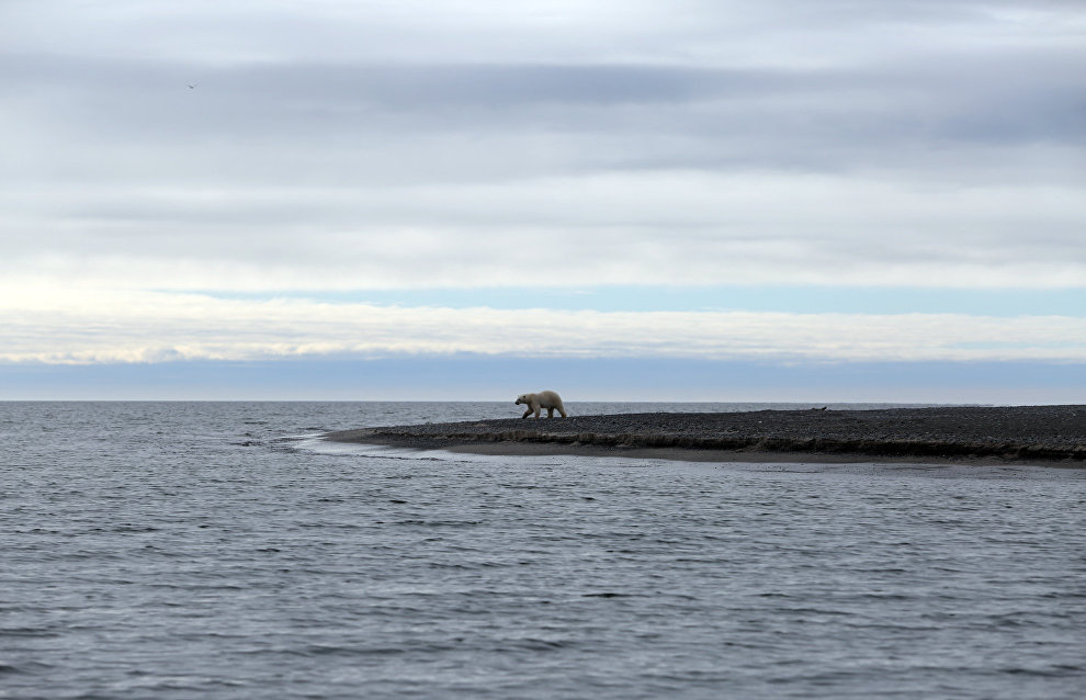 Great Arctic State Nature Reserve