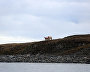 Great Arctic State Nature Reserve
