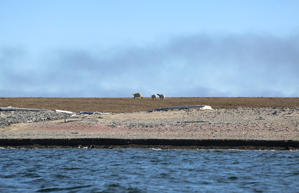 Great Arctic State Nature Reserve