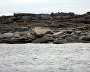 Great Arctic State Nature Reserve