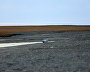 Great Arctic State Nature Reserve