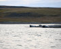 Great Arctic State Nature Reserve