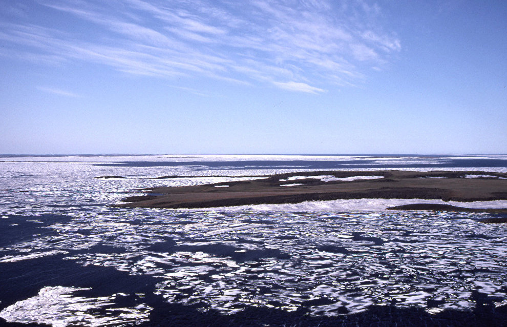 Great Arctic State Nature Reserve