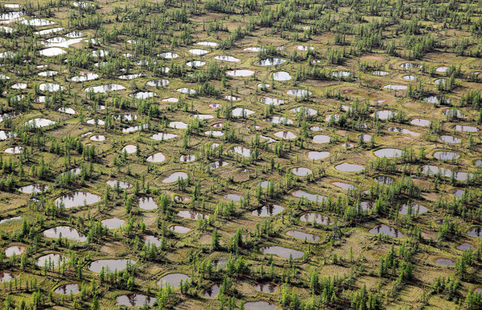 Taimyr Biosphere Reserve