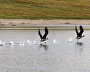 Taimyr Biosphere Reserve