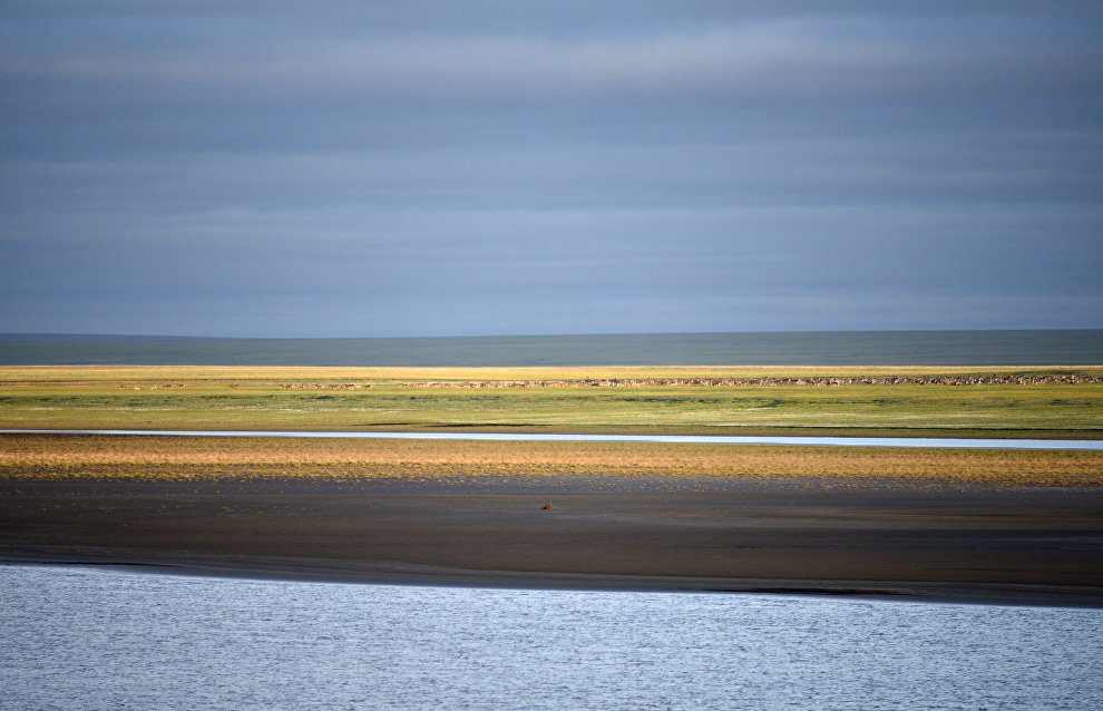 Taimyr Biosphere Reserve