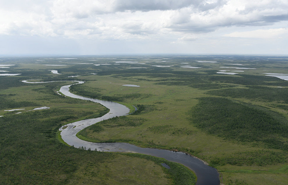 Taimyr Biosphere Reserve