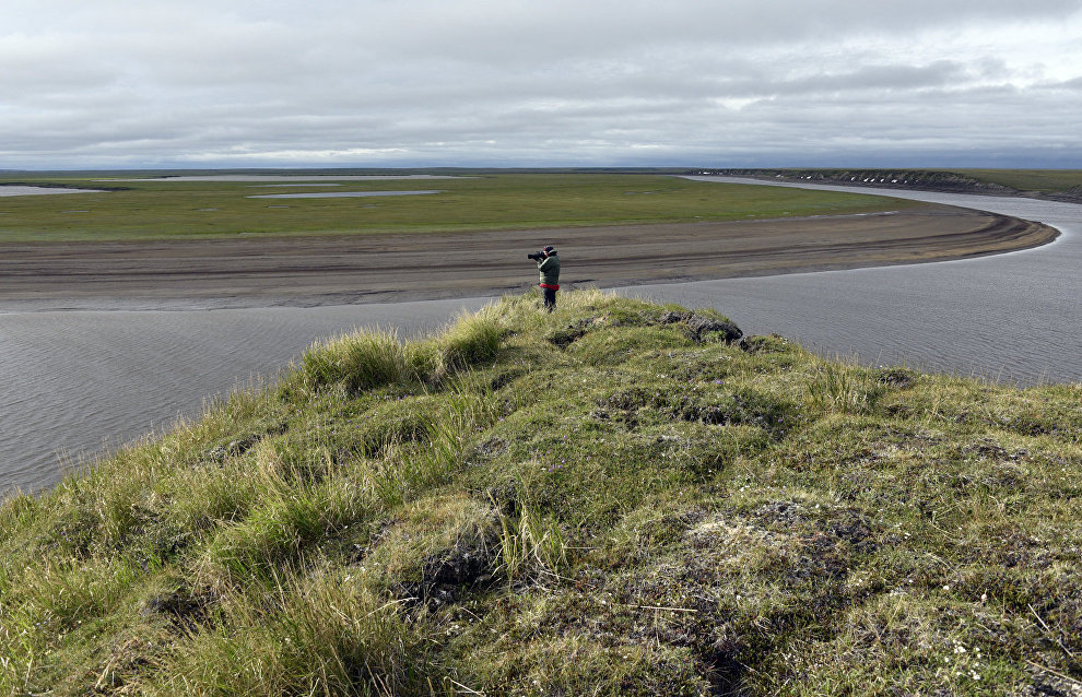 Taimyr Biosphere Reserve