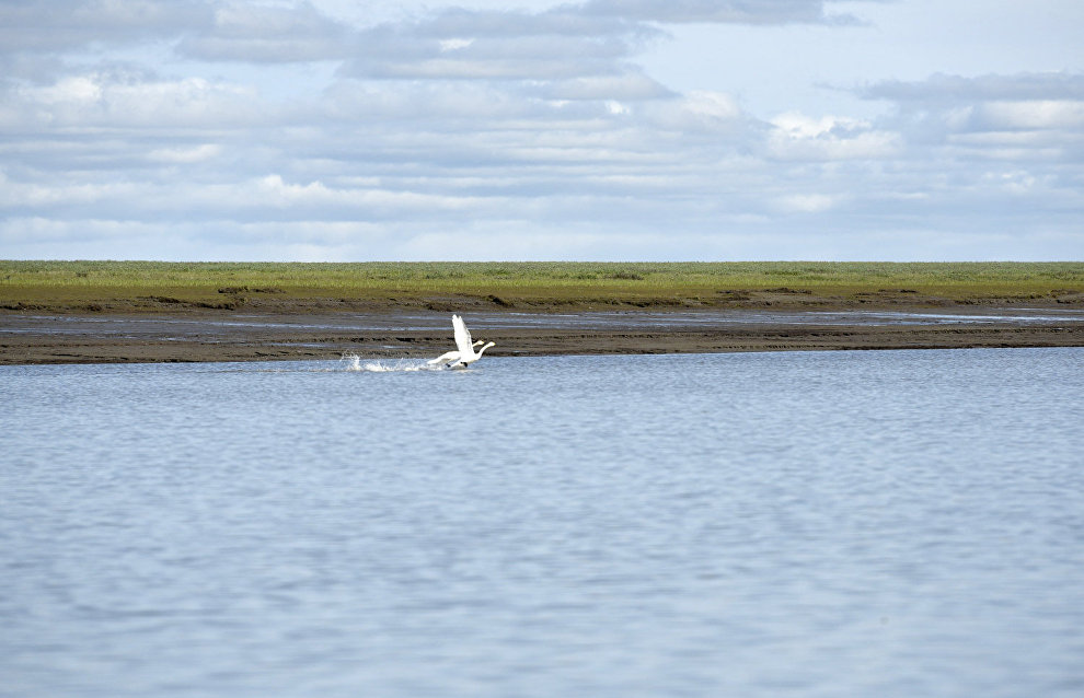 Taimyr Biosphere Reserve