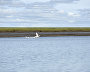 Taimyr Biosphere Reserve