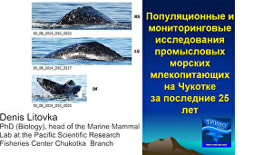 Вебинар_английский