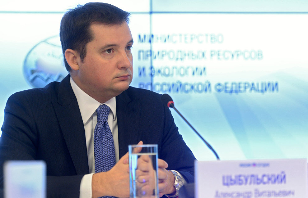Deputy Minister of Economic Development Alexander Tsybulsky