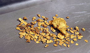 Government approves a bill on gold mining by individuals