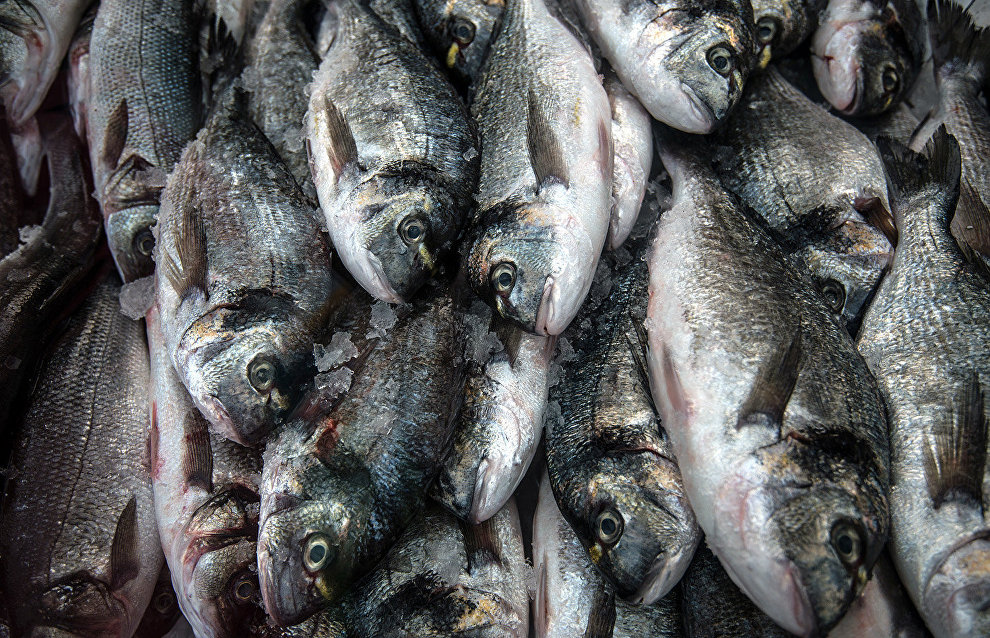 Over 9 tons of fish produced in Yamal-Nenets Autonomous Area in 2016