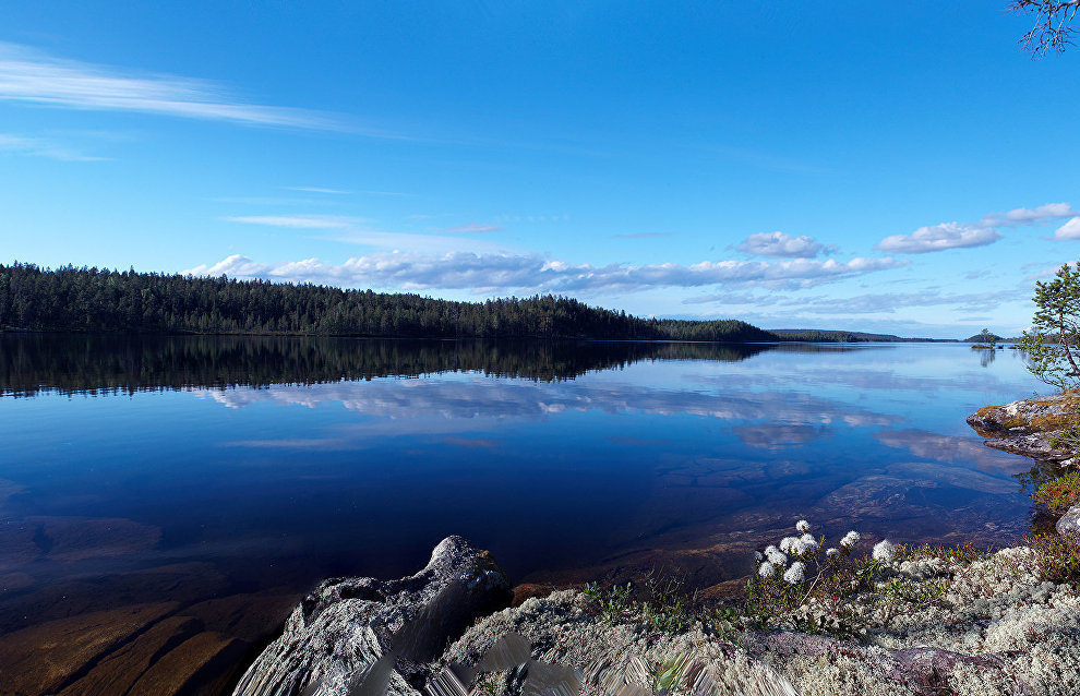 The Pasvik Nature Reserve