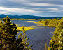 The Pasvik Nature Reserve