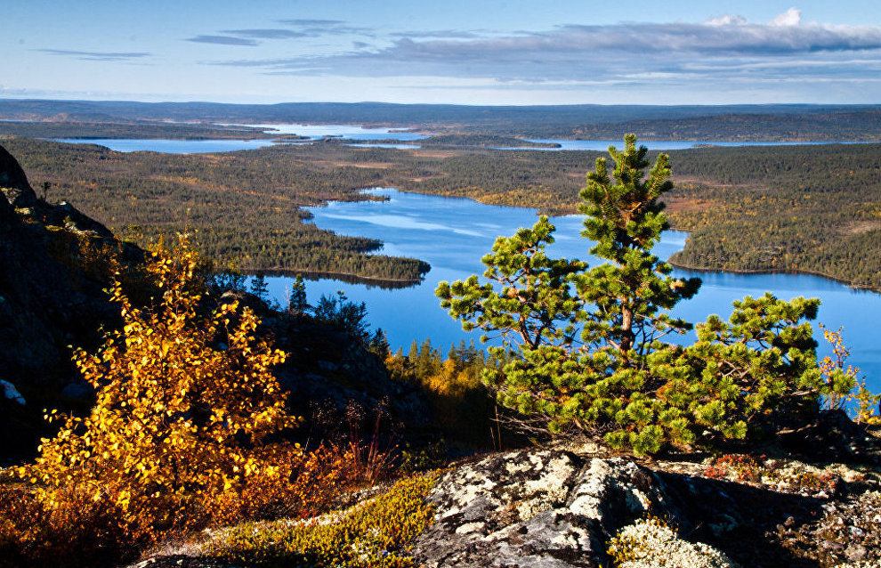 The Pasvik Nature Reserve