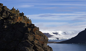 Nikolai Shabalin: New Arctic islands form fairly often