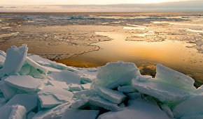 Arctic ice extent hits 38-year low