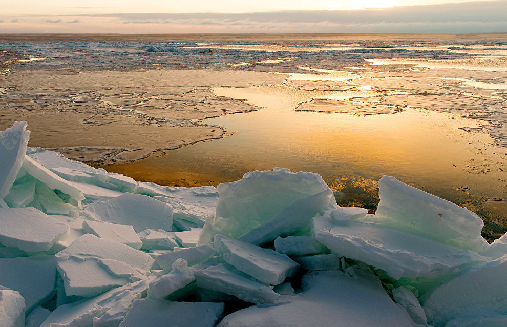 Arctic ice extent hits 38-year low
