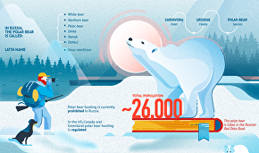 Polar bear