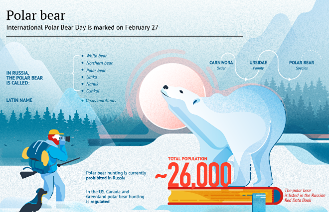 Polar bear