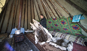 Grants allocated in Yamal to representatives of indigenous peoples of the North who keep traditional lifestyle