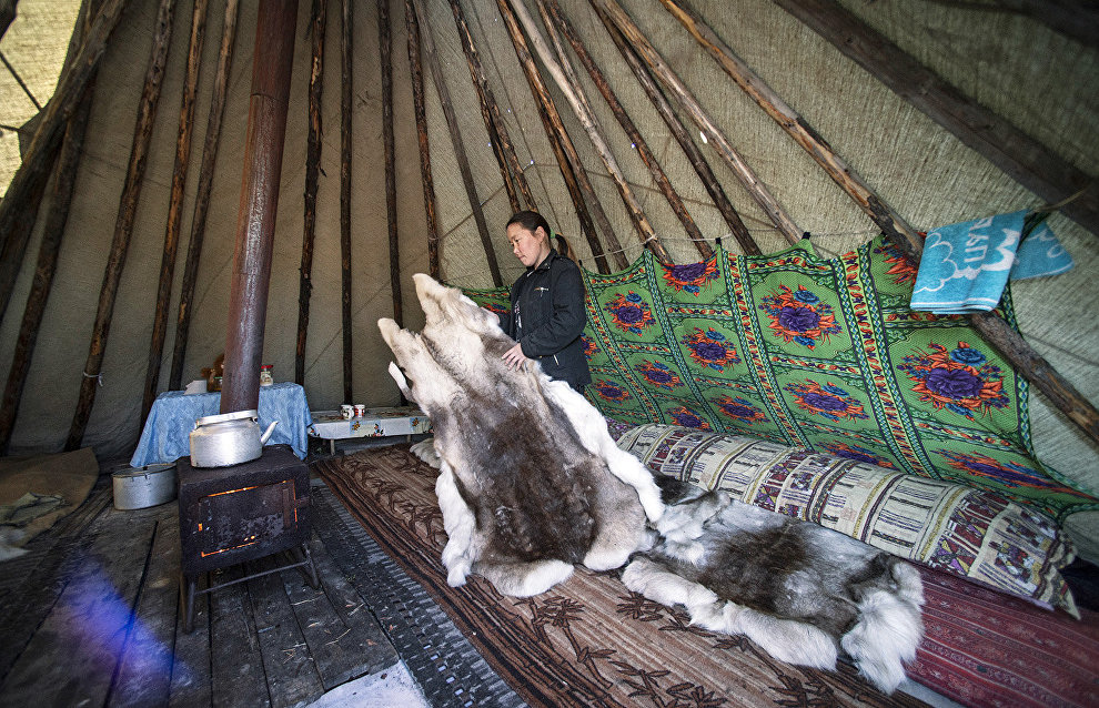 Grants allocated in Yamal to representatives of indigenous peoples of the North who keep traditional lifestyle