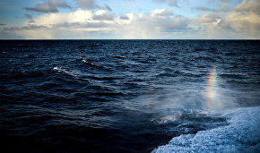 Northern Fleet divers to survey USS Thomas Donaldson that sunk in 1945