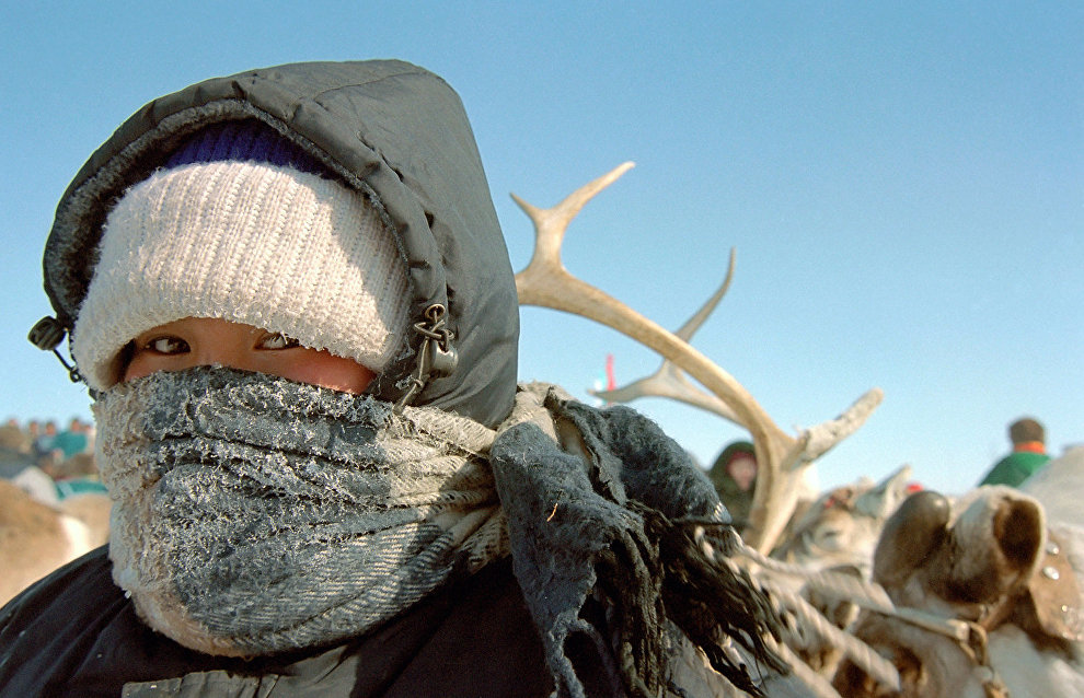 Expedition to Gydan Peninsula to study health of nomadic populace and reindeer breeding