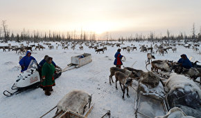 Yamal expedition explores nomad camps, trading posts, remote villages