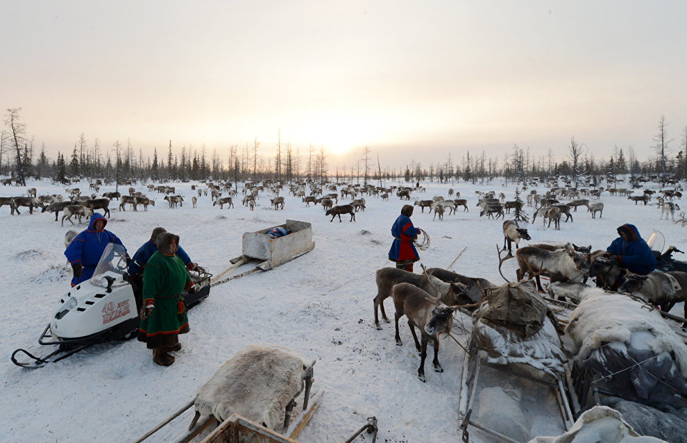 Yamal expedition explores nomad camps, trading posts, remote villages