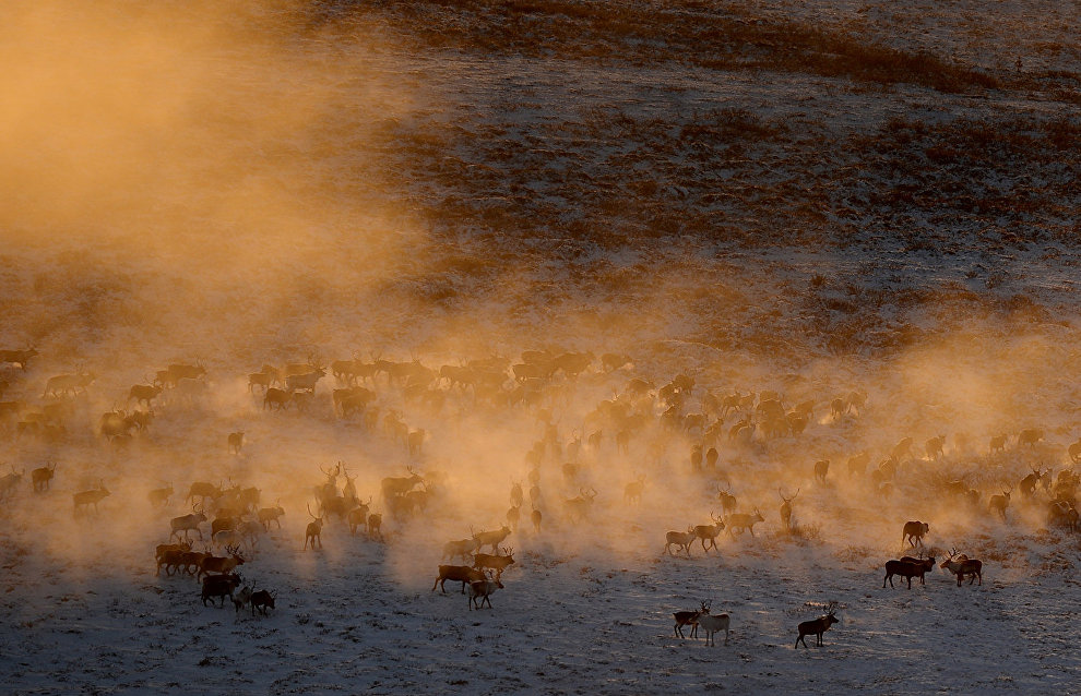 Yakutia to set up three specially protected nature territories by 2024