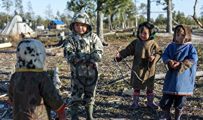 Taimyr Peninsula fuel spill site to undergo ethnological impact assessment