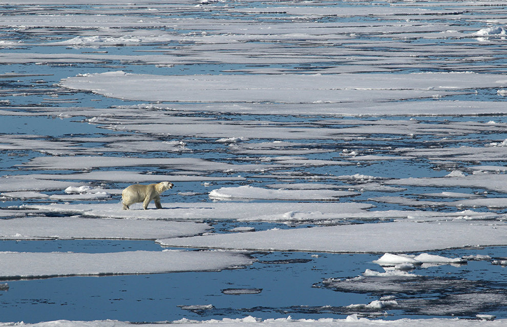 Russia and Denmark could share the North Pole if the UN approves their applications