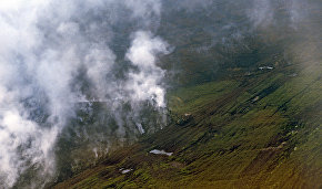 Russian, German scientists to study effects of wildfires on tundra ecosystem in the Arctic