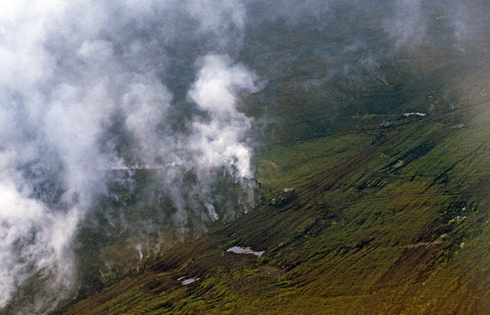 Russian, German scientists to study effects of wildfires on tundra ecosystem in the Arctic