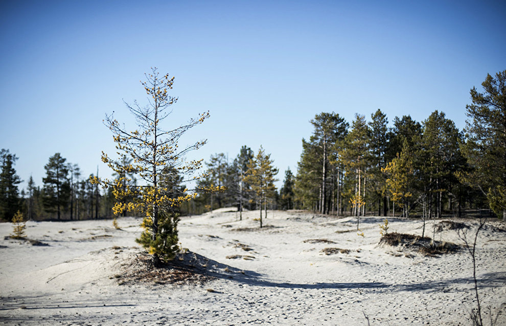 Northernmost Paleolithic monument discovered in Yamal-Nenets Autonomous Area