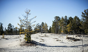 Northernmost Paleolithic monument discovered in Yamal-Nenets Autonomous Area
