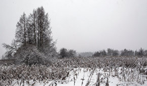 State Duma to simplify development of Arctic and Far Eastern hectares
