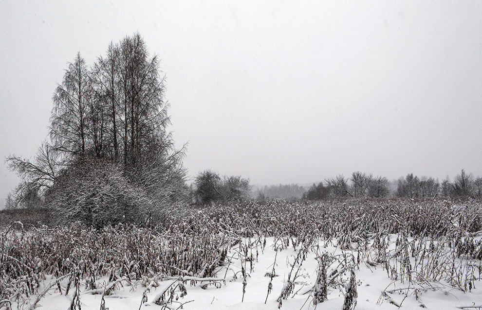 State Duma to simplify development of Arctic and Far Eastern hectares