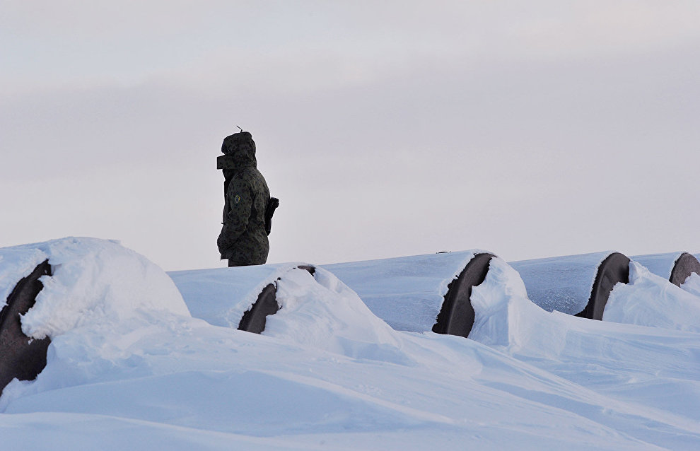 Military environmentalists to work in the Arctic from June to October