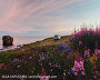 White Sea coast. Cape Korabl