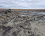Studying new craters on Yamal